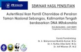 Autentikasi Ikan Famili Channidae di Perairan Taman ......Autentikasi Ikan Famili Channidae di Perairan Taman Nasional Sebangau, Kalimantan Tengah berdasarkan DNA Mitokondria EVA MUHAJIRAH