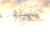 LES DIFFÉRENTES RUCHES · PDF file 2018. 3. 18. · – Ruche Dadant – Ruche Voirnot – Ruche Langstroth – Ruche Layens (GB) – Ruche Tonelli Les ruches verticales à cadres.