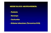 NESSE BLOCO ABORDAREMOS: Rub éola Sarampo Cachumba -Eritema infeccioso … · 2011. 4. 1. · Eritema infeccioso Crises aplásticas: -> predileção por células hemopoiéticas ->