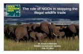 The role of NGOs in stopping the illegal wildlife trade · Ali Bongo Ondimba “Last year we burned our entire stockpile of ivory to show that Gabon has no tolerance for this” ...