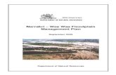 Narrabri – Wee Waa Floodplain Management Plan · 2018. 3. 5. · Narrabri – Wee Waa Floodplain Management Plan September 2005 Prepared by: Department of Natural Resources Barwon