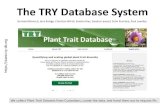 The TRY Database System · 1. Connects to web database (MySQL) for request data 2. Connects to main database (MySQL) for trait data 3. Selects output records 4. Writes output records
