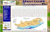 Image of the Month - Agricultural Research Council Library... · 2018. 9. 25. · of August. A good contribution of the above-normal rainfall during Au-gust in the drought stricken