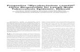 Progenitor Mycobacterium canettii Clone Responsible for Lymph … · Percy1004 Djiboutian Bouffard M 2010 Jun 14 LN puncture LN Neg Singleton‡ Percy1049 Ethiopian (18) Bouffard