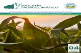 Boletín Agroclimático Noinsivumeh.gob.gt/meteorologia/bolagroclim/Boletín... · 2019. 9. 19. · boletÍn agroclimÁtico agosto, septiembre, octubre 2019. orientado a los cultivos: