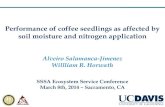 Performance of coffee seedlings as affected by soil ...Early growth is the most critical stage (Salazar, 1996) 0 1500 3000 4500 6000 7500 9000 Colombia Caturra Colombia Caturra Colombia