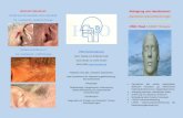 Hals-Nasen-Ohrenheilkunde Dr. Fryen · Web viewDiagnostik und Therapie von Schwindel, Tinnitus, Schluckstörungen Abtragung von Haut tumoren plastische Gesichtschirurgie Author Supervisor