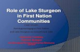 Role of Lake Sturgeon in First Nation Communities · “social role of lake sturgeon" “Nothing was wasted back then; the sturgeon was completely cooked, especially the head and