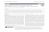 The potential roles of exosomes in pancreatic cancer initiation … · 2020. 9. 2. · The potential roles of exosomes in pancreatic cancer initiation and metastasis Wei Sun, Ying