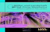 Natur und Landschaft an der Porta Westfalica...Kapitel 10: NABU-Gelbbauchunkenprojekt Ein umfangreiches Artenschutzprojekt für die Gelbbauchunke hat der NABU in mehreren Bundesländern