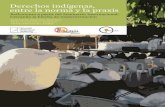 Libro Derechos Indígenas · 2019. 12. 5. · Derechos indígenas, entre la norma y la praxis Reflexiones a partir del Seminario Internacional: Cerrando la brecha de implementación