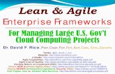 Lean & Agile Enterprise Frameworksww.davidfrico.com/rico17d.pdf · 2017. 9. 28. · Lean-Agile, Six Sigma, CMMI, ISO 9001, DoD 5000 NASA, USAF, Navy, Army, DISA, & DARPA projects