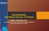 ENGINEERING NEURBIOLOGICAL SYSTEMS - ASAPNYS...Engineering Biology The purpose of an abstraction hierarchy is to hide information and manage complexity To be useful, biological engineering