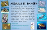 ANIMALS IN DANGER ... ANIMALS IN DANGER Global Warming and Climate Change are affecting negatively wildlife because they are changing the habitat where animals live. Many animal species