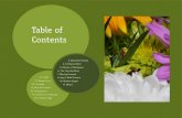 Table of Contents - Camille's Communications Portfolio · 2016. 3. 30. · Table of Contents 2. Bannack Portraits 4. A Ghost Is Born 5. Echoes of Yesteryear 6. The Ties that Bind