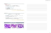 犬のリンパ腫の病理組織学的分類と臨床への応用 - 東京大学2018/2/23 5 脾臓辺縁帯リンパ腫 CD20 CD3 新キール分類 低グレード 14 核の大きさ：赤血球直径x1.5~2