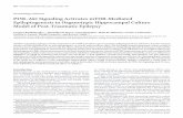 NeurobiologyofDisease PI3K-AktSignalingActivatesmTOR ...traumatic epileptogenesis remain largely unknown (McDaniel and Wong, 2011), and effects of mTOR inhibitors on epilepsy have