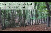 A mediterrán tájak élővilágaszechenyiiskola.hu/userfiles/lombhullató erdők_h.pdf · 2019. 11. 28. · A biikkerdíben általában a biikk az egyedüli faftlj. A súrún álló,