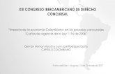 XIII CONGRESO IBEROAMERICANO DE DERECHO CONCURSAL... · 2017. 10. 13. · La definición de Crisis. Informalización del Procedimiento. Esquema Judicial. Juez de Insolvencia. Auxiliares