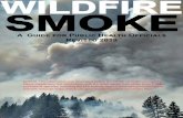 WILDFIRE SMOKE: A GUIDE FOR PUBLIC HEALTH OFFICIALS · 2021. 2. 9. · Project Lead: Susan Lyon Stone, stone.susan@epa.gov Chapter 1 Health Effects: Jason Sacks, sacks.jason@epa.gov.
