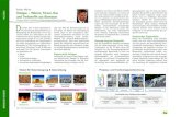 Stefan Müller Holzgas – Wärme, Strom, Gas und Treibstoffe aus … · 2019. 5. 5. · Based on Dual Fluid Gasification“, PhD thesis, Vienna University of Technology, ISBN: 978-3-9502754-5-2.