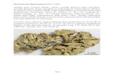 Parmotrema hypotropum 16779 - fschumm.lichenologie.de von Parmeliaceae/Parmotrema... · [16779], USA, Mexico, Baja California Sur, along Rte 22, 21 km W of Ciudad Contitución, 24°59’