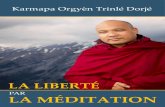 Karmapa Orgyèn Trinlé Dorjékarmapafoundation.eu/wp-content/uploads/2019/02/Freedom... · 2019. 6. 24. · ORGYEN TRINLE DORJE TRANSLATORS: David Karma Choephel Tyler Dewar Michele