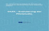 O4A4 - Evaluierung der Pilotstudie. - E3D+Vet...Dieser Bericht gibt einen vollständigen Überblick über die Pilotstudie des E3D+VET Projekts in den Ländern: Italien und Deutschland.