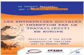 ENTREPRISES SOCIALES D’INSERTION PAR LE TRAVAIL ......chercheurs EMES, en partenariat avec les membres d’ENSIE, ont identifié 44 formes d'ESIT regroupées en 4 catégories, définies