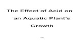Growth an Aquatic Plant’s The Effect of Acid on Acid and Aquatic...and nitrogen oxides are released into the air by our vehicles, oil refineries and fossil-fuel power plants, resulting