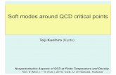 Soft modes around QCD critical points · 2010. 11. 10. · There are still a room of other structure of the QCD phase diagram with multiple critical points when the color superconductivity