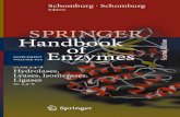 Enzymes Handbook Enzymes Handbook - ciando ebooks · 2016. 4. 29. · CDP cytidine5 -diphosphate CDTA trans-1,2-diaminocyclohexane-N,N,N,N-tetraaceticacid ... Glc glucose GlcN glucosamine