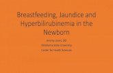 Breastfeeding, Jaundice and Hyperbilirubinemia in the Newborn ... jaundice in the neonatal period 4. Recognize the clinical features and sequelae of acute bilirubin encephalopathy