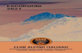 2 PREMIO LETTERARIO - ASCA Club Alpino · 2020. 12. 31. · 3 CLUB ALPINO ITALIANO SEZIONI DI FORNI AVOLTRI, FORNI DI SOPRA, MOGGIO UDINESE, PONTEBBA, RAVASCLETTO, TARVISIO, TOLMEZZO