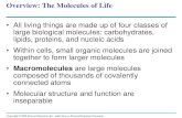 Overview: The Molecules of Life - Weeblybealbio1.weebly.com/uploads/1/0/4/0/10402408/05_lecture_presentationday.pdfConcept 5.2: Carbohydrates serve as fuel and building material •Carbohydrates