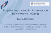 Preplanning a vascular intervention non-invasive imaging Preplanning a vascular intervention non-invasive