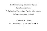 Understanding Business Cycle Synchronization: Is Inflation ...faculty.haas.berkeley.edu/arose/ADBOver.pdfMy Data Set • Want many observations with, or comparable to, the set of inflation