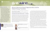 THE BOTTOM LINE Africa’s Resource Export Opportunities …documents1.worldbank.org/curated/en/...Sub-Saharan Africa has vast non-fuel mineral resources that in some countries constitute