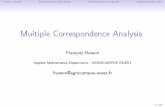 Multiple Correspondence Analysisfactominer.free.fr/course/doc/MCA_course_slides.pdf · Data - issuesStudying the individualsStudying the categoriesInterpretation aids Multiple Correspondence