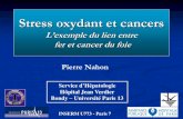 Stress oxydant et cancers - Cours M1 UE7 Biologie moléculaire de … · 2018. 10. 13. · VHB SYNDROME METABOLIQUE Sangiovanni, Gastroenterology 2004 . Foie normal Foie cirrhotique