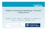 Pollen in Domestic Dwellings: Forensic ImplicationsPollen in Domestic Dwellings: Forensic Implications Morgan, R. M., Allen, E., Balestri, F., Davies, G., King, T., Sena V. and Bull,