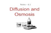 6.1 Osmosis and diffusion powerpoint · 2017. 2. 23. · AMOEBA SISTERS: VIDEO RECAP && OSMOSIS Amoeba Sisters Video Recap of Osmosis 1. The below picture represents diffusion of