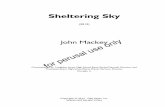 Sheltering Sky - rebar - w parts-rev · 2020. 8. 31. · Instrumentation 2 Flutes Oboe(s) Bassoon(s) 3 Clarinets in Bb Bass Clarinet in Bb Optional: Eb Contra-alto Clarinet (part