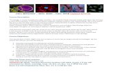 CELL BIOLOGY – BIOL 3000 – FALL 2018 (Updated 8/27/18)...CELL BIOLOGY – BIOL 3000 – FALL 2018 (Updated 8/27/18) Course Description “In biology, it is one stupefaction after