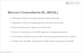 Biscarri Consultoria SL (BCSL)...Biscarri Consultoria SL (End-User - Spain) viernes, 12 de abril de 13 CFD Experiment / Team 30 viernes, 12 de abril de 13 scalability benchmark main