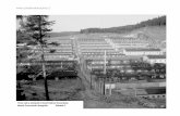 ... Modul: Por  Téma: Jak se zacházelo s historií tábora Flossenbürg ovnávání fotografie Snímek 1