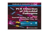 VOLUME 216 PCR Detection of Microbial Pathogens · Target Sequences Used in PCR Detection Assays of Microorganisms Target gene region Authors (Reference) 16S rRNA Campylobacter van