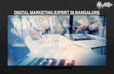 Are you looking for the best digital marketing expert in Bangalore