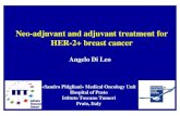 Neo-adjuvant and adjuvant treatment for HER-2+ breast cancer...breast cancer FEC q3w x 3 Trastuzumab q3w cycles 5-17 FEC q3 x 3 Trastuzumab q3w cycles 5-17 Gianni L, et al. Cancer
