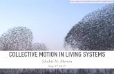 COLLECTIVE MOTION IN LIVING SYSTEMSsitabhra/teaching/sb17/...“BOIDS” In 1986, Craig Reynolds developed an algorithm for coordinated animal motion for a system of agents (known